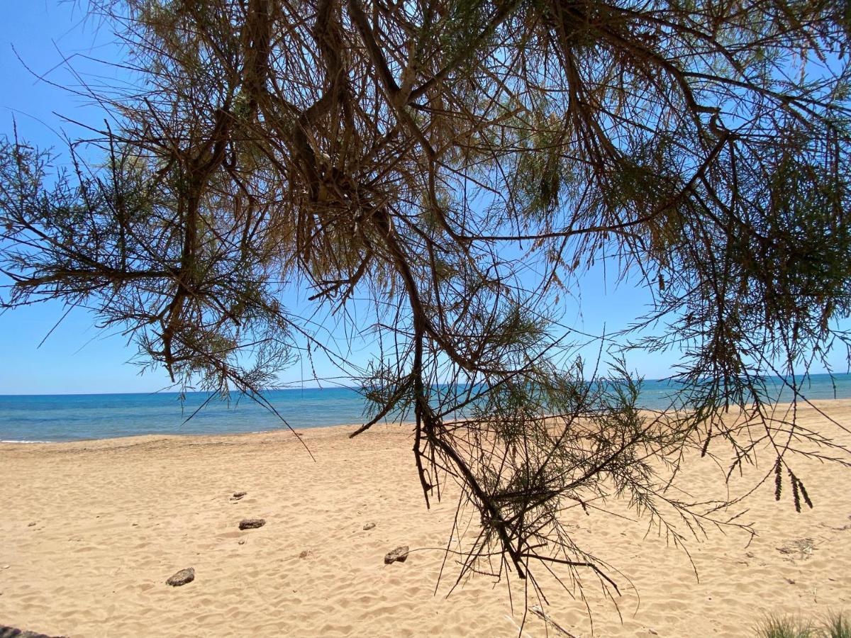 הוילה Triscina 200M From The Sea - Large Private Patio With Bbq מראה חיצוני תמונה